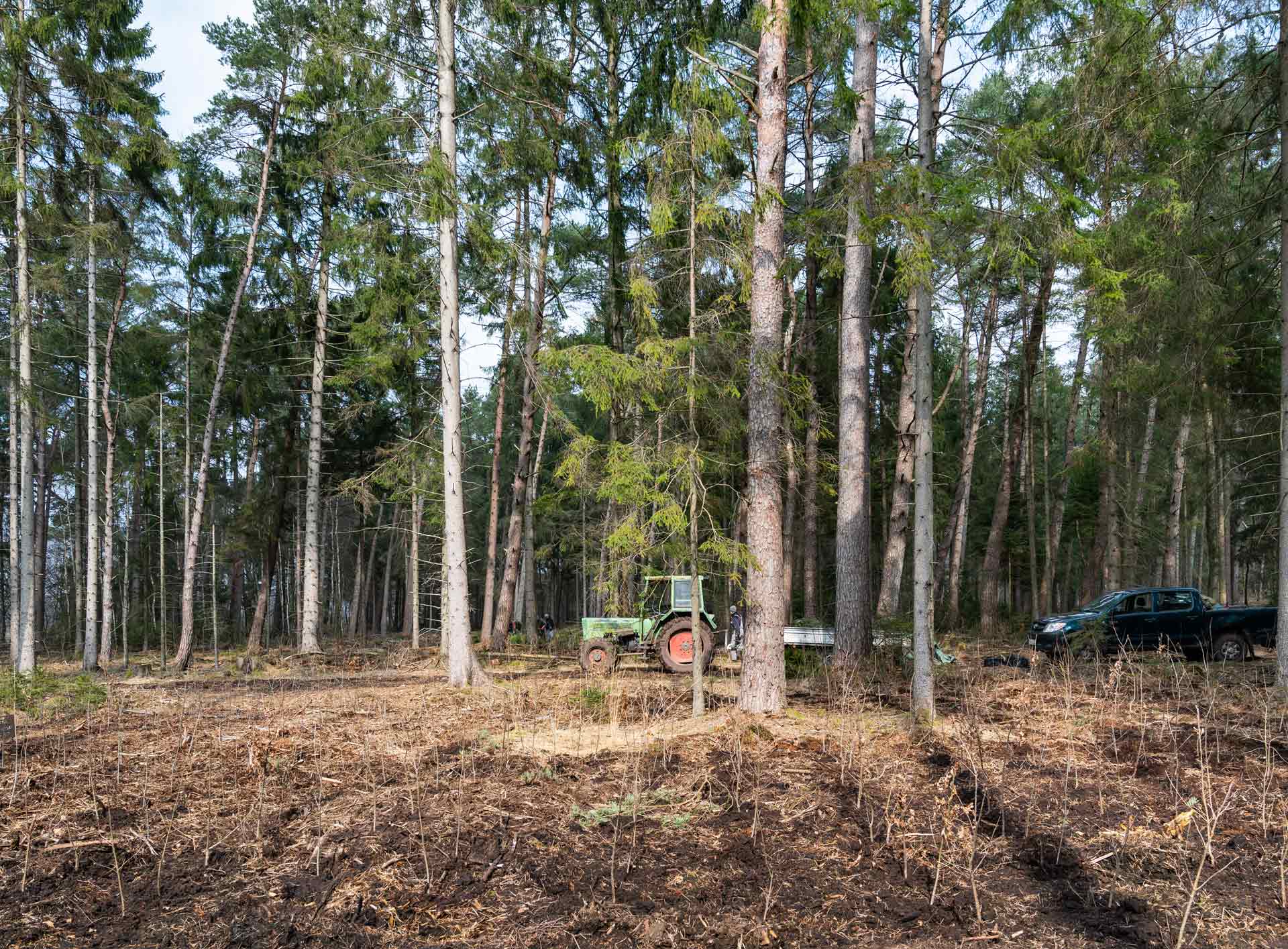 MDH Aktion PLANT-MY-TREE® in Hohenaspe MDH Aktion PLANT-MY-TREE® in Hohenaspe
